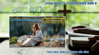 Suy niệm Tin Mừng CN 16 Thường Niên Năm B (Mc 6, 30 - 34)